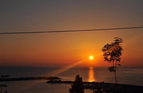 Canik Hotel | Panaroma Damla Otel