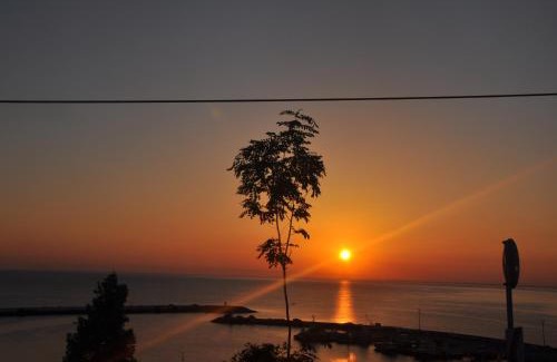 Canik Hotel | Panaroma Damla Otel