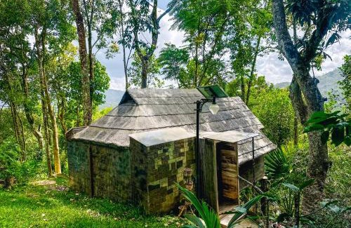 Pirmed Villa | Panchavadi - Forest-Facing Treehouses with a Natural Mountain Pool