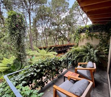 Valle de Bravo Bed & Breakfast | Pandurata Bed and Breakfast