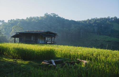 Samoeng Other | Pang Ma - O rice terrace นาขั้นบันไดบ้านปางมะโอ