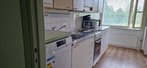 Leppavirta Apartment | Pankkikallio