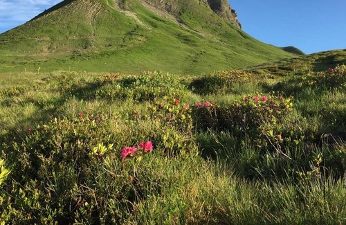Nueziders RV Rental | Panorama Camping Sonnenberg - Bungalows