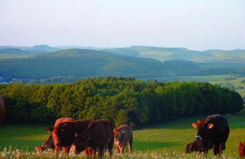 Eulenbis Apartment | Panorama Gasthof Stemler