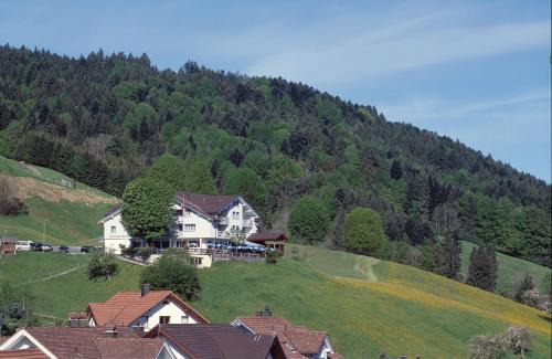 Appenzell Hotel | Panorama Hotel Freudenberg