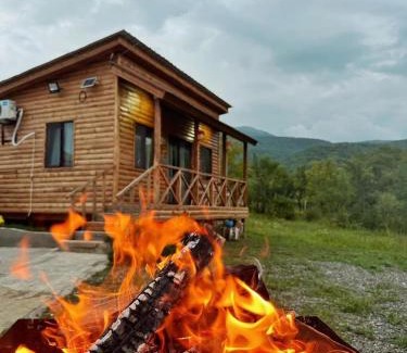 Vedzebi House | panorama tianeti