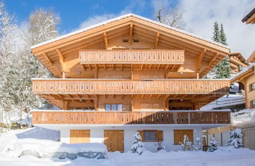 Wengen Apartment | Panoramapark Soleil Chalet D