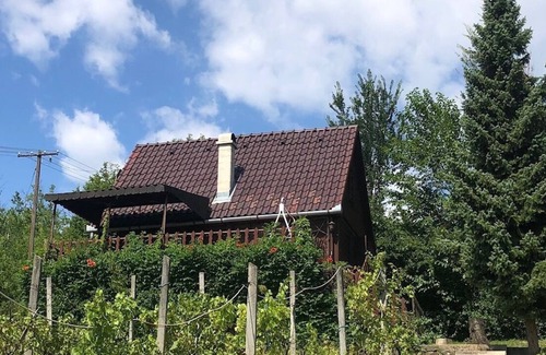 Veroce Ski Chalet | Panoramic Chalet Verőce - Fenyves