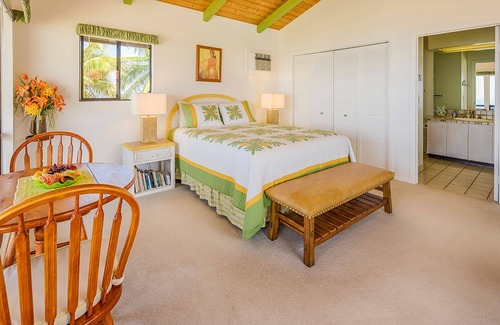Kamuela Bed & Breakfast | Panoramic Ocean View B&B on Kohala Coast-Holiday/Winter/Summer Rate 285.
