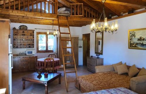 Koinira Apartment | Panos Cottage