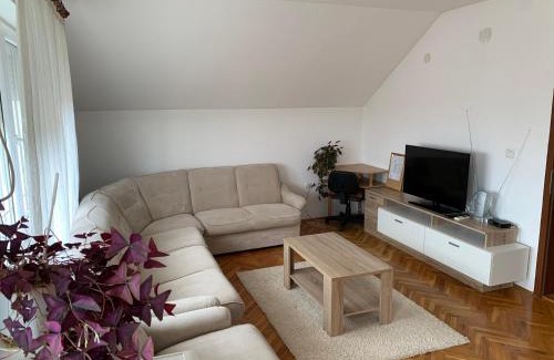 Bor House | Pansion "Dušica"