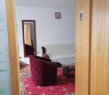 Niska Banja Apartment | Pansion Velickovic