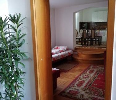 Niska Banja Apartment | Pansion Velickovic