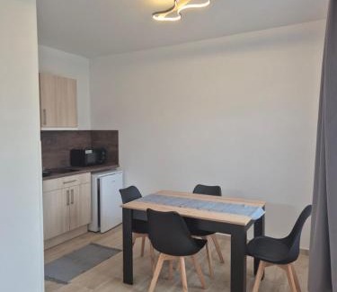 Chlum u Trebone Apartment | Panská