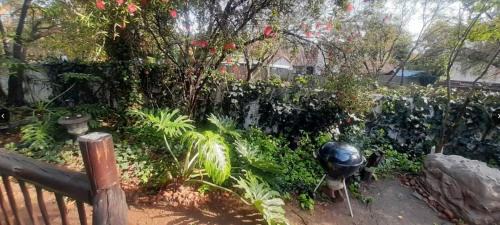 Randpark Ridge Apartment | Pantera Lodge and Spa and Cheetah Cottage