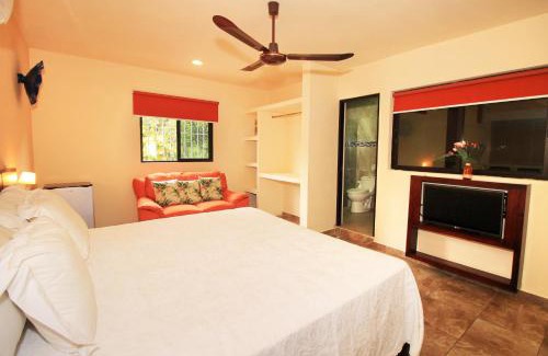 Centro Hotel | Papagayo Hotel Boutique