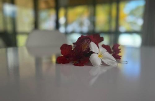 Amuri Villa | Paparei Beachfront Bungalows, Aitutaki