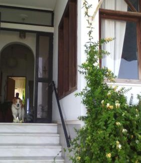Imathia Region House | Papas Rooms on the Seafront
