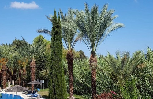 Paphos Apartment | Paphos: superb 1-bedroom apartment in seaside tourist area sleeps 2