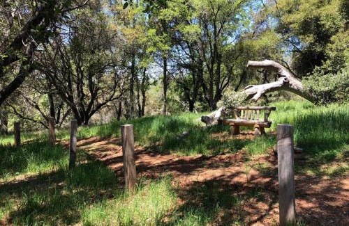 Mariposa House | Papillon Cellars - The Loft