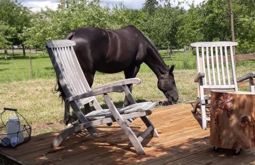 Saint-Martin-aux-Chartrains Bed & Breakfast | Par Hasard ou pas