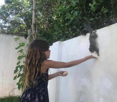 Praia Seca House | Paraíso de Praia Seca