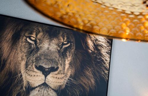 Venlo Bed & Breakfast | Parade Elluf