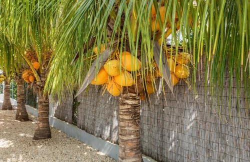Fontein Apartment | Paradise Apartments - Curacao