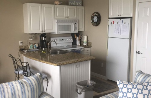 St. Petersburg - Clearwater Condo | Paradise Found Pet Friendly