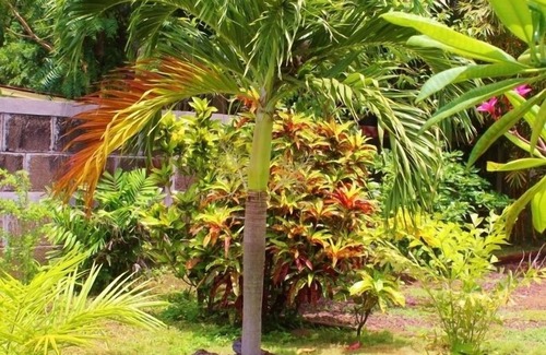 Pochomil House | Paradise in Nicaragua! Beautiful Oceanfront Home