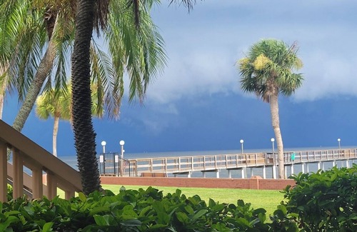 Greater Pinellas Point Condo | Paradise on Tampa Bay in Beautiful and Vibrant St. Petersburg, Florida