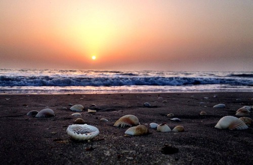 Gunjur Cottage | Paradise! On The Beach Of Southern Gambia, West Africa.