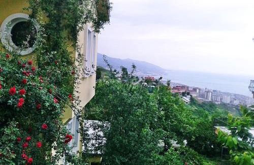 Akcaabat Villa | Paradise Villa Trabzon