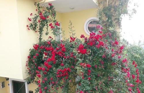 Akcaabat Villa | Paradise Villa Trabzon