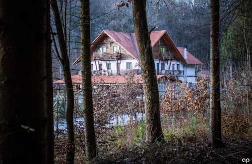 Sieu-Odorhei Cabin | Paradisul Verde