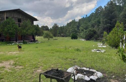 Creel House | Parador Arew 1 La Energa Que Impulsa El Alma