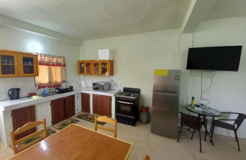 Mason Hall Apartment | Parakeet Hideaway