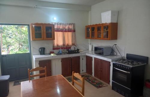 Mason Hall Apartment | Parakeet Hideaway
