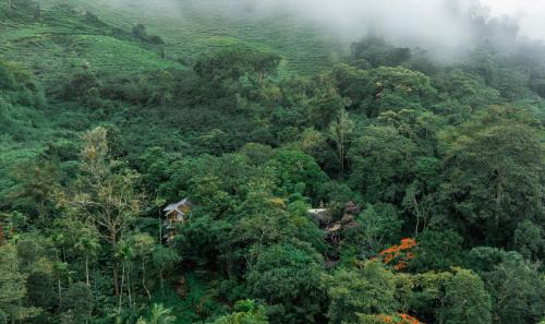 Devikolam Resort | Parakkat Nature Resort