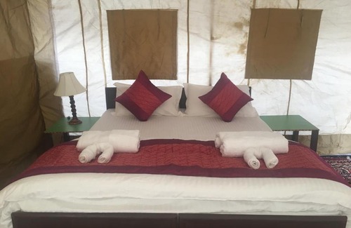 Nubra Valley Other | Paramount Camp