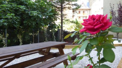 Rialp Apartment | Parc Apartaments