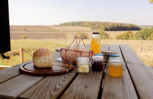 Loire - Vignobles et Nohain Ski Chalet | Parcel Tiny House Cave Nerot, au coeur des vignes près de Sancerre
