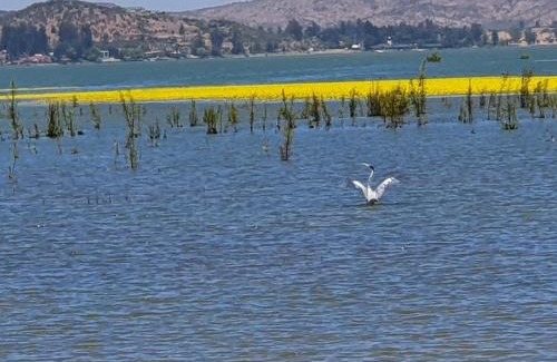 Las Cabras House | Parcela de 3 hectáreas con orilla de Lago