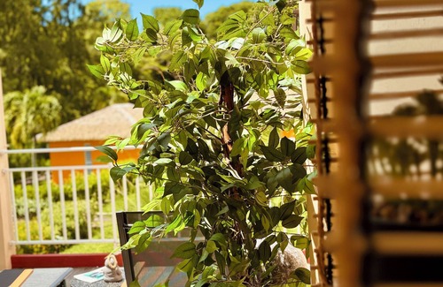 Grand-Bourg Apartment | Parenthèse, T1 with balcony and backyard. Private beach and pool access
