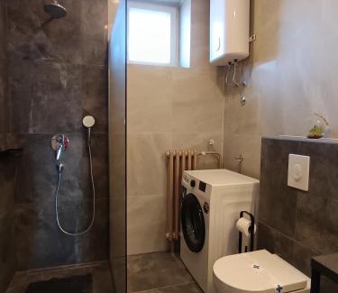 Spadici Apartment | Parentina apartment