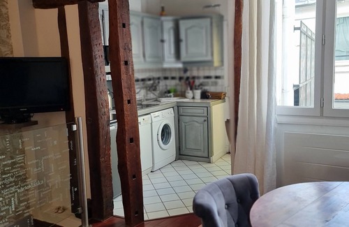 Quartier de la Monnaie Apartment | Paris 06 Quartier Latin: Rare. Quiet terrace in the Latin Quarter