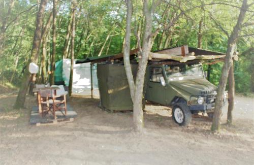 Pignona Other | Parisalla Rural Hub