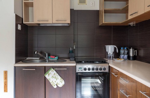 Katowice Apartment | Park Śląski Comfy Apartment