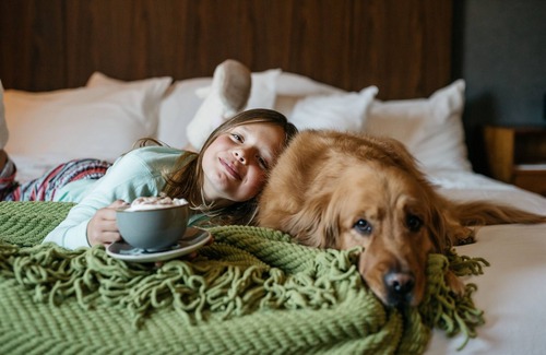 North Park City Hotel | Park City Peaks Hotel