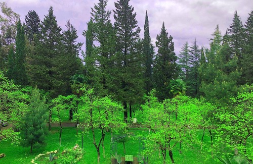 Kutaisi Hotel | Park Hotel Imeri